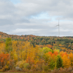 Projet de parc éolien Broughton : retour sur les portes ouvertes et prochaines étapes à franchir